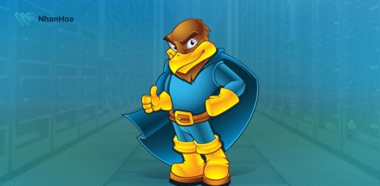 Mua hosting hawkhost